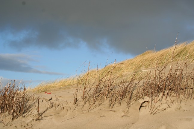 Ameland 07